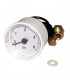 Screw fit pressure gauge DOMITOP - FERROLI : 39806330