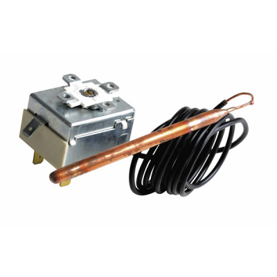 Acuastato seguridad lg 1500 2 polos 364 - FERROLI : 39817180