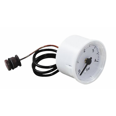 Pressure gauge - FERROLI : 39818210