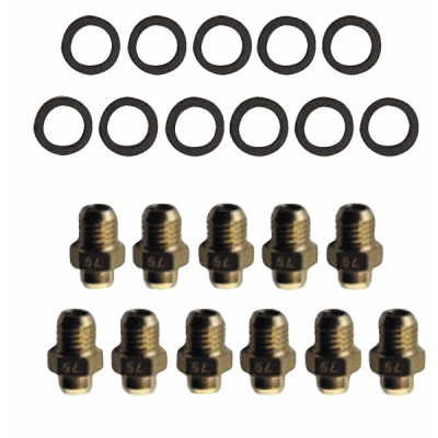 Inyector d0,79 g31 (11 uds) - FERROLI : 39819600