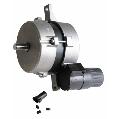 moteur pour brûleur sun 356016 - FERROLI : 39819990