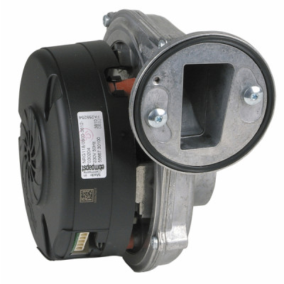 Fan assy c/w pcb ebmpapst - FERROLI : 39828060