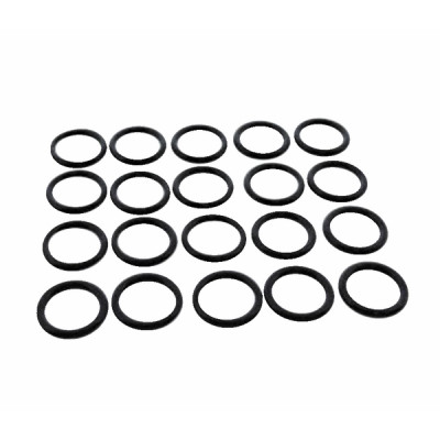 Sanitary gasket (X 20) - FERROLI : 39837700