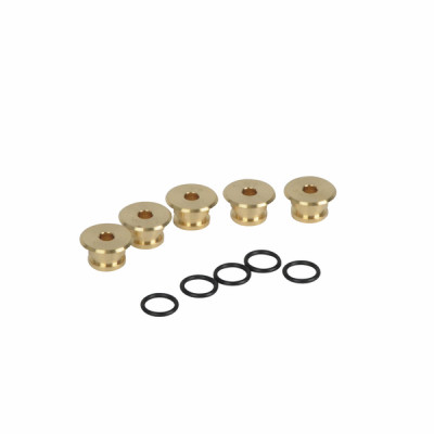 5 kit g20 d.5.0 bluehelix pro c (X 5) - FERROLI : 39846150