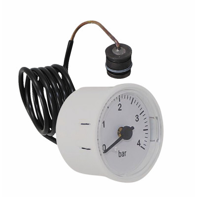 Pressure gauge - FERROLI : 39846290