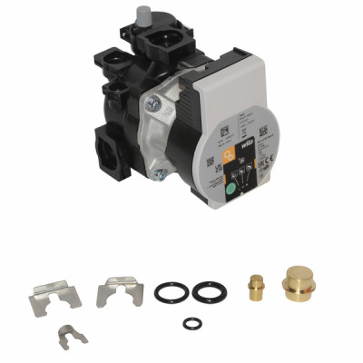 Kit pompe para FRSL6-50 (36600172) - FERROLI : 39847401