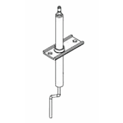 Electrode ionisation - RIELLO : 4035860