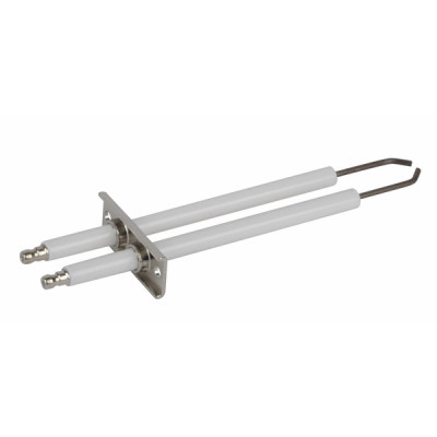 Electrodo de encendido - RIELLO : 4038699