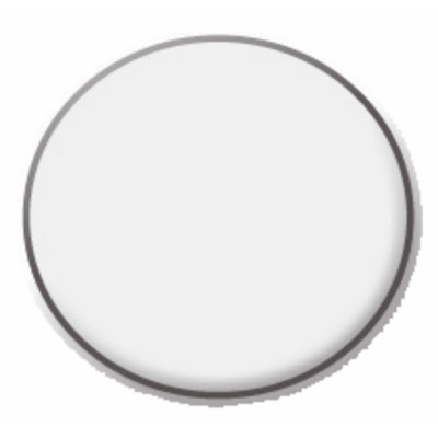 Vidrio visor r100385 - RIELLO : 4048319