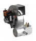Fan assembly - RIELLO : 4050323