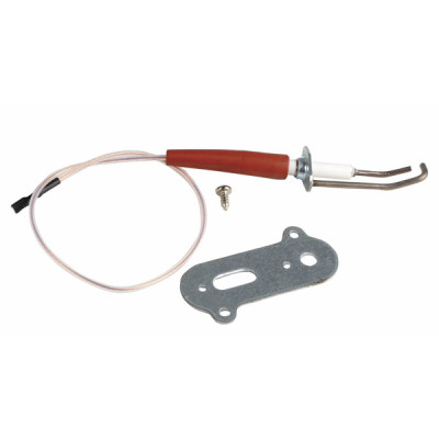 Électrode allumage DOMUS ISC R - RIELLO : 4050364
