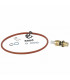 Flow rate detector 1.2ltr/min max 14l/min- DIFF pour De Dietrich Chappée - S100203
