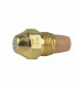 Delavan nozzle 0,50g60°ct w(bf)- DIFF pour De Dietrich Chappée - S50032671