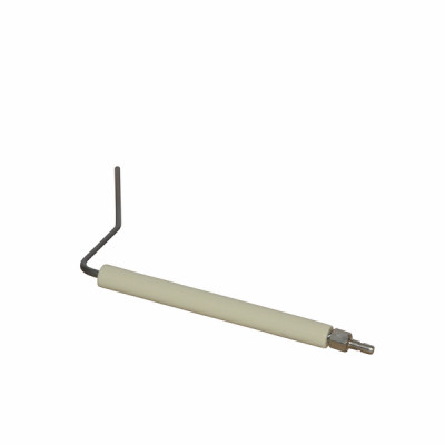 Électrode ionisation BG450 M - BENTONE : 91837301