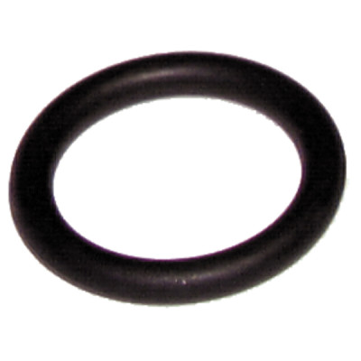 Anillo de estanqueidad Résidence (X 10) - RIELLO : 4364282