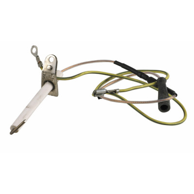 Ignition / flame sensing electrode - RIELLO : 4364634