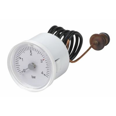 Hydromètre - RIELLO : 4364942