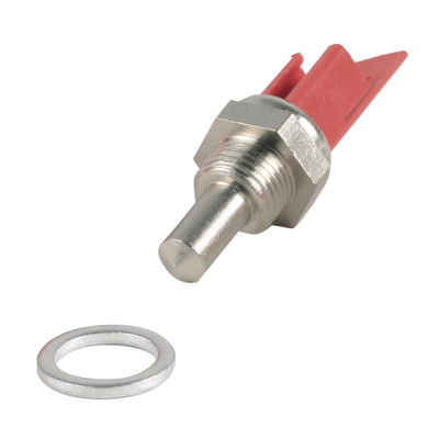 Sonda (X 5) - RIELLO : 4366421