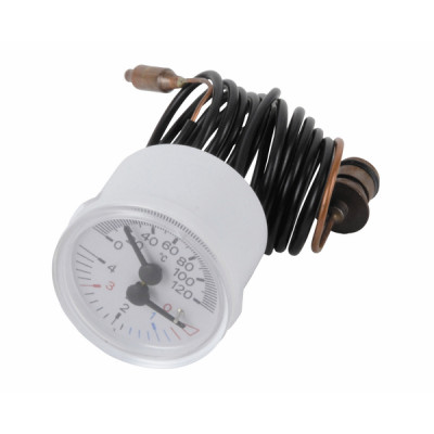 Pressure temperature gauge - RIELLO : 4366673