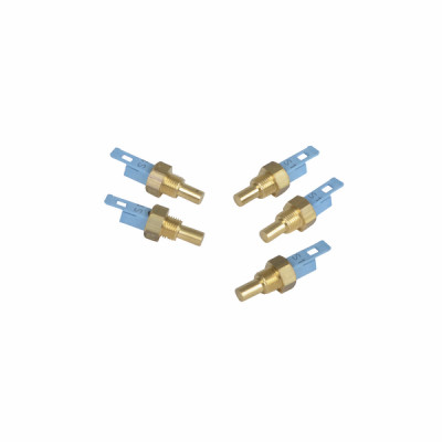 Sonde NTC  (bleue)  (X 5) - ROCA BAXI : 190037027