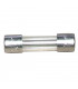 fuse 5A- DIFF pour De Dietrich Chappée - 95340074  - (X6)