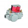 Gas valve - IMMERGAS : 1.023673
