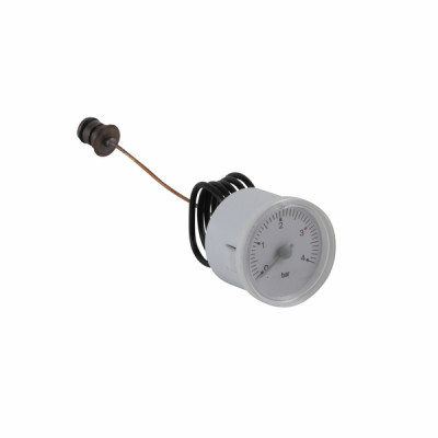 Hydrometer - DIFF for Beretta : R2564