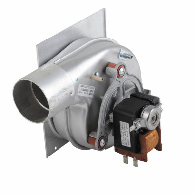 Extracteur de fumées - DIFF pour Biasi : BI1016108