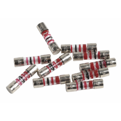 Fuse 2A 250V (X 10) - CHAFFOTEAUX : 60054442