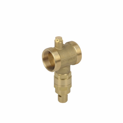Exogel anti-freeze valve M1"1/2- DIFF - 608069