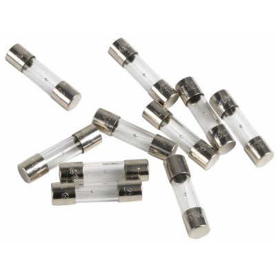 Fuse 250V 1,25A (X 10) - CHAFFOTEAUX : 61003635