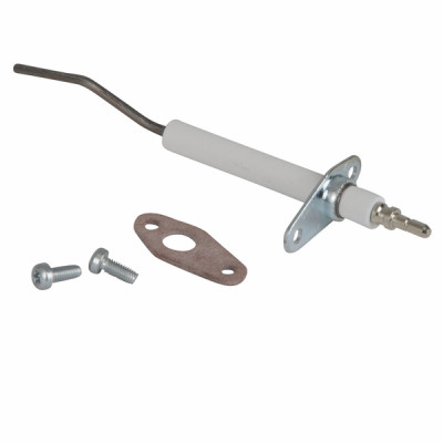 Detection Electrode Unit - COSMOGAS : 62632007