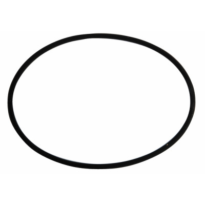 Seal d 93x3 mm4 - GEMINOX : 63002998