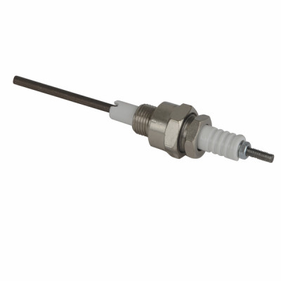 Electrodo ionización - RENDAMAX : 64202708