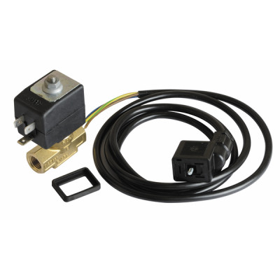 Electroválvula, piloto + cable - RENDAMAX : 65000265