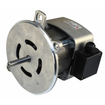 Motor estándar con brida NEMA 2  no ventilado