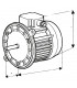 Nema ventilated single-phased 2 flange standard motor