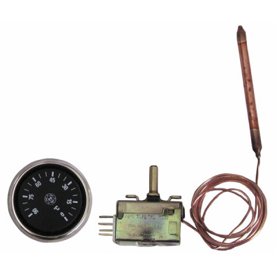 Control aquastat with bulb standard type ab 100.a