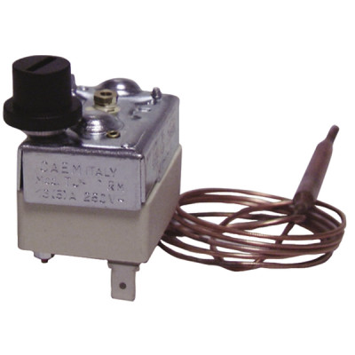 Security aquastat with bulb caem type ts rm tf