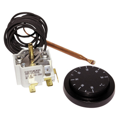 Control aquastat with bulb and capillary