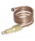 Rallonge de thermocouple (L600mm - raccord M9 x F9) - SIT : 0 218 101