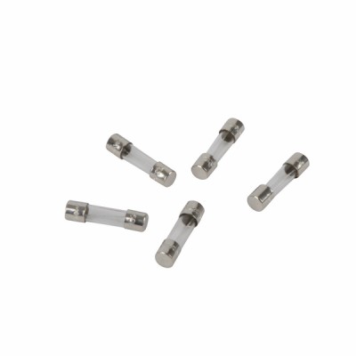 Batch of fuses 3.15A 250V (X 5) - DIFF for Frisquet : F3AA41212