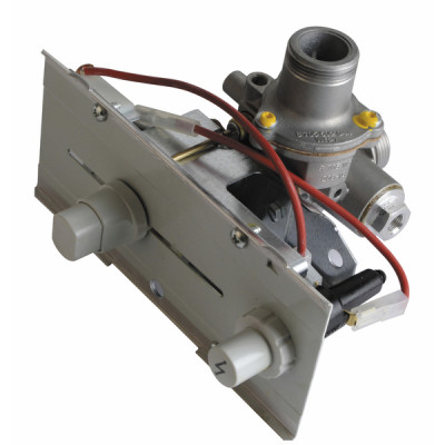 Bloc gaz lmpv nat - ELM LEBLANC : 87070115470