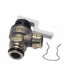 Safety valve - ELM LEBLANC : 87160108760