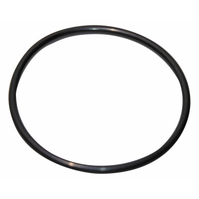 O-ring 120.02x6.99-n - GEMINOX : 87185725380