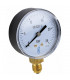 Manómetro radial seco 0-25b Ø63 mm - DIFF
