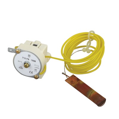 Thermostat overheating to 93°C - AOSMITH : 0300674(S)