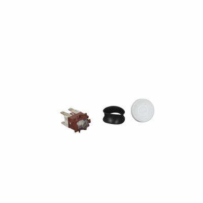 Burner inspection service kit - AOSMITH : 0303497(S)