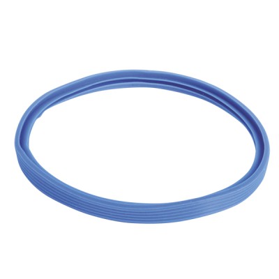 Sellador azul de silicio 100 mm - AOSMITH : 0303943(S)