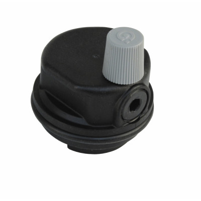 Purgeur air + joint (circulateur) - DE DIETRICH CHAPPEE : 94918142